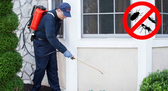 Evka 6 Akrep İlaçlama böcek ilaçlama ve haşere kontrolü — ilaclama-tr.com